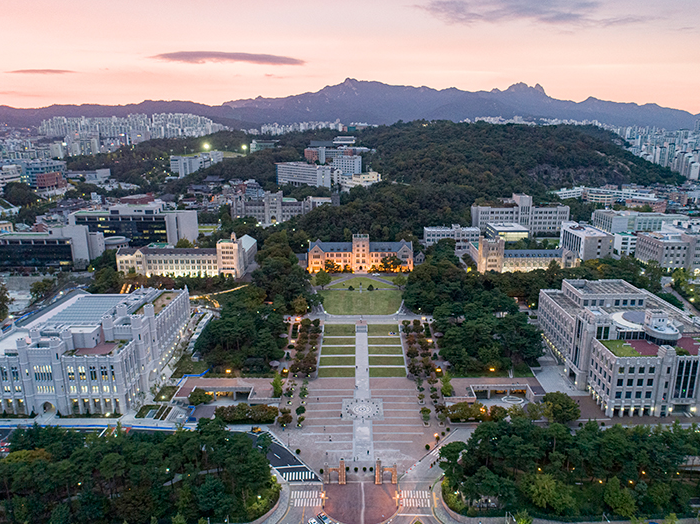 고려대학교