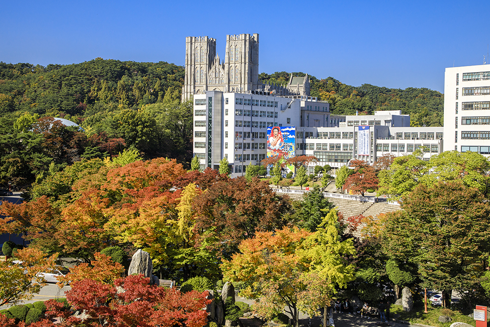 경희대학교 multimedia 가을빛 캠퍼스